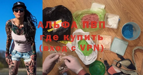 ешки Бородино