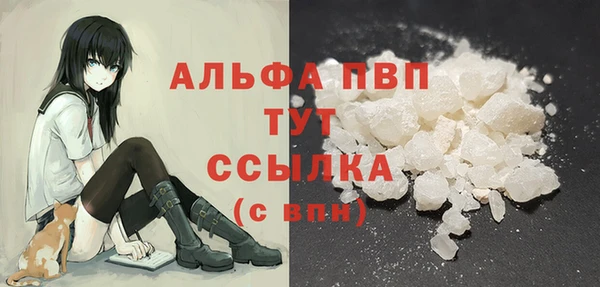 ешки Бородино